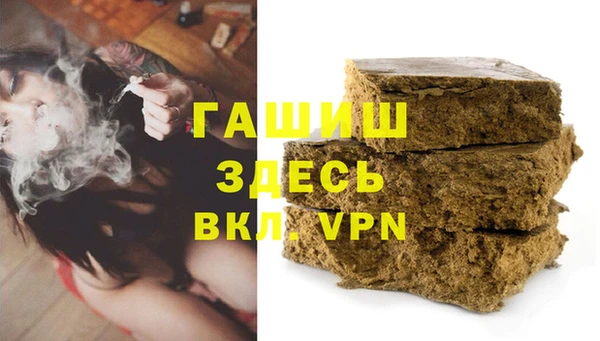 прущие грибы Алагир
