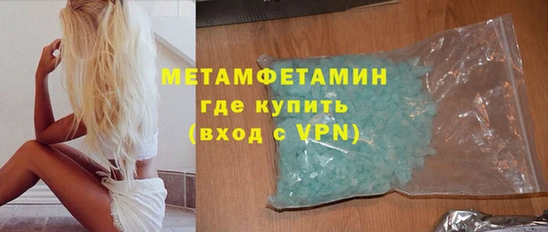 шишки Надым