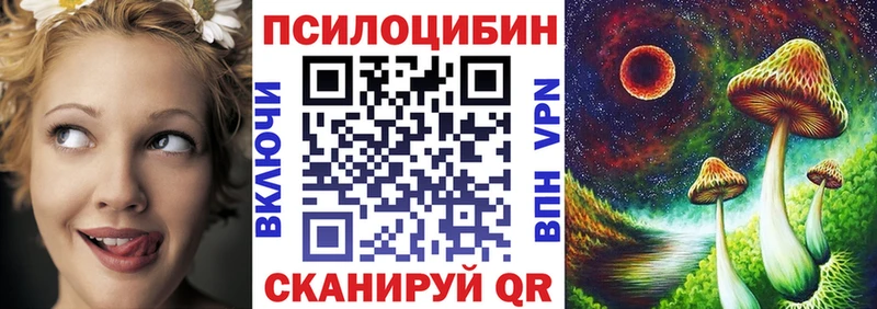 hydra ТОР  Новая Ляля  Псилоцибиновые грибы мицелий 